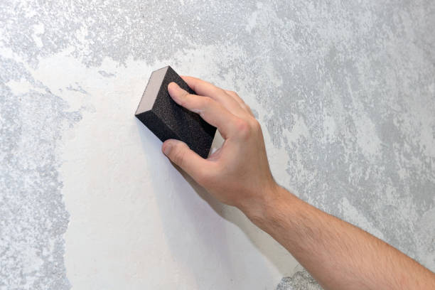 Best Airborne Mold Testing  in Midlothian, TX