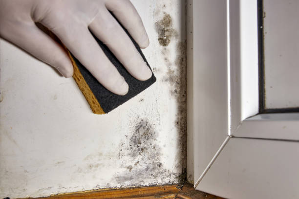 Best Indoor Air Quality Assessment  in Midlothian, TX