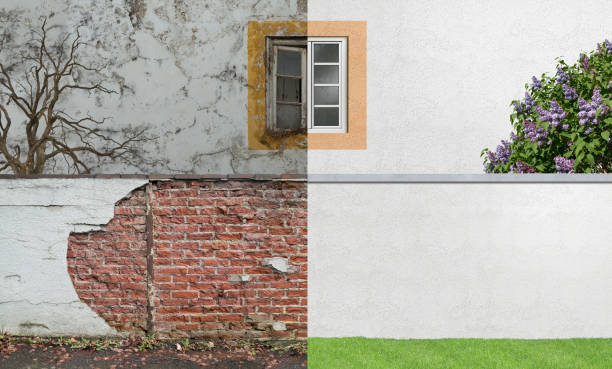 Professional Mold Removal in Midlothian, TX